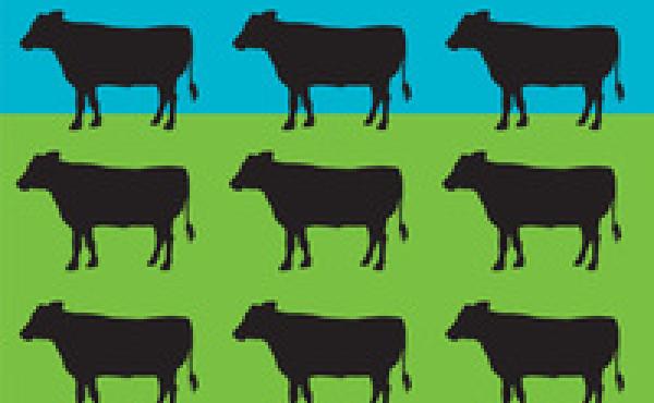 Journalist Judith D. Schwartz calls her book Cows Save The Planet "a call to action on behalf of soil." Journalist Judith D. Schwartz calls her book Cows Save The Planet "a call to action on behalf of soil."