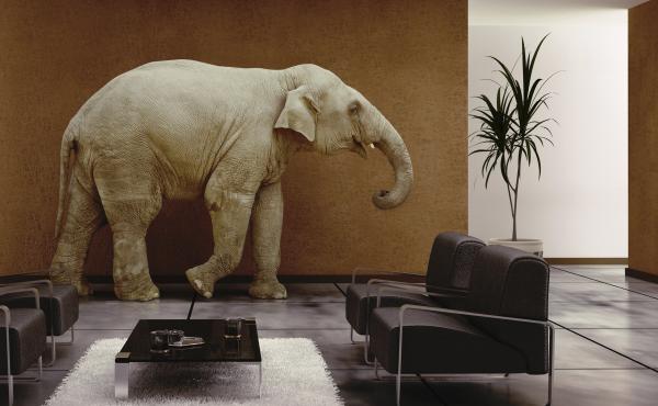 The "elephant in the room" is something obvious that can't be overlooked, even if no one is talking about it. The phrase was in use as early as 1935. The "elephant in the room" is something obvious that can't be overlooked, even if no one is talking about it. The phrase was in use as early as 1935.