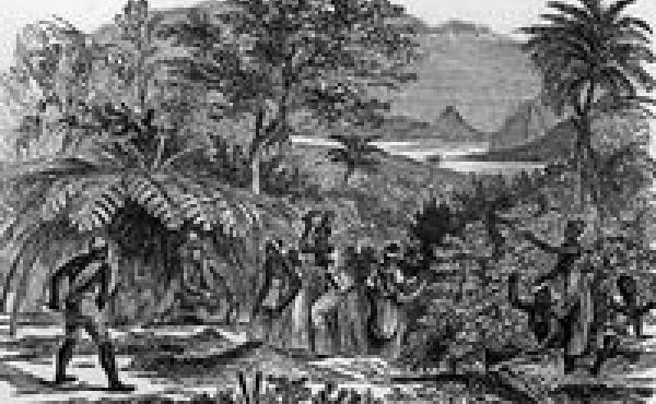 An overseer sits in the shade while workers collect coffee beans on a Brazilian plantation, circa 1750. An overseer sits in the shade while workers collect coffee beans on a Brazilian plantation, circa 1750.