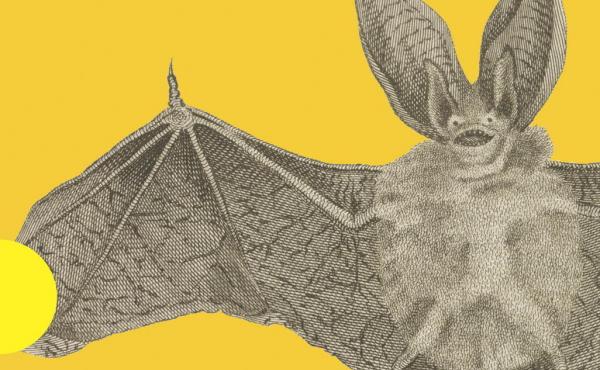 Cover: Vampires In The Lemon Grove Cover: Vampires In The Lemon Grove