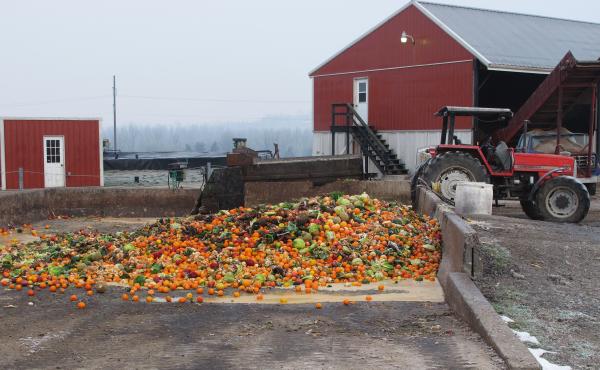 The butter sculpture will be dumped into this pit of rotting fruit and vegetables on the Reinford family's farm. Then, all that food will get ground up and put into the farm's methane digester. The butter sculpture will be dumped into this pit of rotting fruit and vegetables on the Reinford family's farm. Then, all that food will get ground up and put into the farm's methane digester.