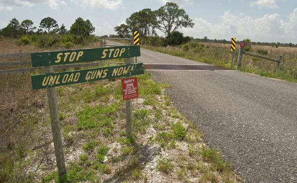 Frank Deford says those who have the potential to reduce the gun violence are people who own guns and who are good sports. Frank Deford says those who have the potential to reduce the gun violence are people who own guns and who are good sports.