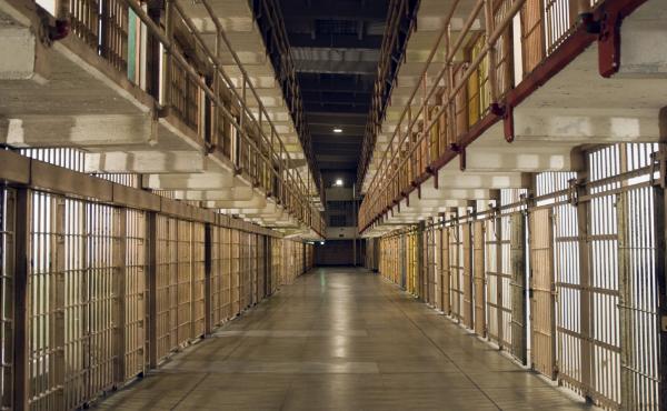 Prison provides an opportunity for networking with more seasoned criminals. Prison provides an opportunity for networking with more seasoned criminals.
