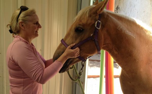 Katrina Boydon and her mustang Spirit. She adopted the horse as an orphaned foal with a rattlesnake bite on his hoof. Katrina Boydon and her mustang Spirit. She adopted the horse as an orphaned foal with a rattlesnake bite on his hoof.