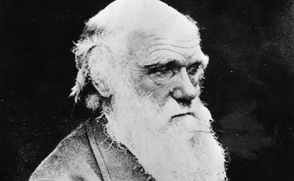 Two iconic notebooks, which include Darwin's 1837 Tree of Life sketch, were returned to the Cambridge University Library last month. Two iconic notebooks, which include Darwin's 1837 Tree of Life sketch, were returned to the Cambridge University Library last month.