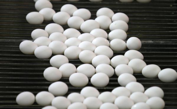 Eggs from Rose Acre Farms, one of the largest suppliers in the U.S., have been recalled after investigators linked them to a number of salmonella-related illnesses. Eggs from Rose Acre Farms, one of the largest suppliers in the U.S., have been recalled after investigators linked them to a number of salmonella-related illnesses.