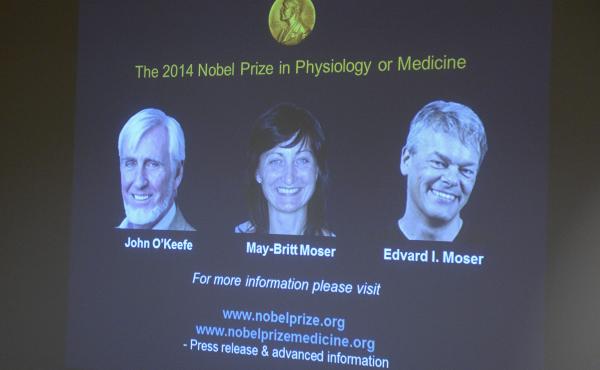 A screen presents the winners of the Nobel Prize in Medicine, U.S.-British scientist John O'Keefe and Norwegian husband and wife Edvard Moser and May-Britt Moser, for their discoveries of cells that constitute a positioning system in the brain. A screen presents the winners of the Nobel Prize in Medicine, U.S.-British scientist John O'Keefe and Norwegian husband and wife Edvard Moser and May-Britt Moser, for their discoveries of cells that constitute a positioning system in the brain.