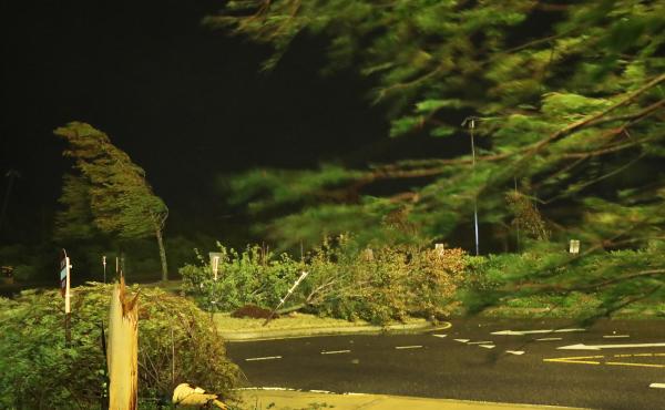 Hurricane Laura blows trees near the Golden Nugget Hotel in Lake Charles, La., as it comes ashore early Thursday. The storm is blamed for four deaths, all caused by trees falling on homes. Hurricane Laura blows trees near the Golden Nugget Hotel in Lake Charles, La., as it comes ashore early Thursday. The storm is blamed for four deaths, all caused by trees falling on homes.