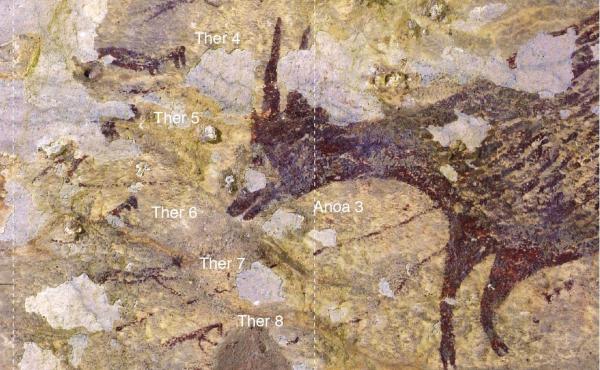 The scene found in Indonesia shows, among other things, hunters confronting a wild buffalo with ropes and spears. The scene found in Indonesia shows, among other things, hunters confronting a wild buffalo with ropes and spears.