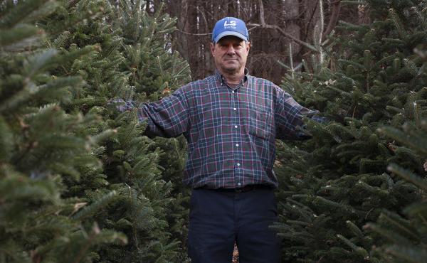 Joey Clawson at one of his Christmas tree stands on the first day of harvest. He grows about 95,000 firs on his operation. Joey Clawson at one of his Christmas tree stands on the first day of harvest. He grows about 95,000 firs on his operation.