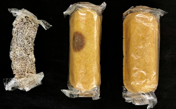 For eight years, a box of Twinkies sat in Colin Purrington's basement until last week when he finally opened them. Varying levels of mold had developed on the snack cakes, and he eventually sent them to two West Virginia University scientists to study the For eight years, a box of Twinkies sat in Colin Purrington's basement until last week when he finally opened them. Varying levels of mold had developed on the snack cakes, and he eventually sent them to two West Virginia University scientists to study the
