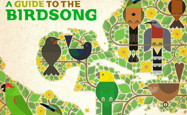Ten artists from Mexico, Central America and the Caribbean recorded tracks using birdsong from their country, with all profits of the vinyl and digital release going to bird conservation projects. Ten artists from Mexico, Central America and the Caribbean recorded tracks using birdsong from their country, with all profits of the vinyl and digital release going to bird conservation projects.