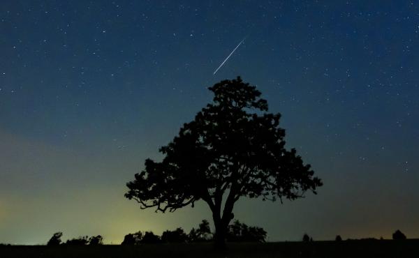 Part of the Perseid meteor shower, seen in Salgotarjan, Hungary, on Aug. 13. Two astronomers predict the Alpha Monocerotids showers will be a more intense showing. Part of the Perseid meteor shower, seen in Salgotarjan, Hungary, on Aug. 13. Two astronomers predict the Alpha Monocerotids showers will be a more intense showing.