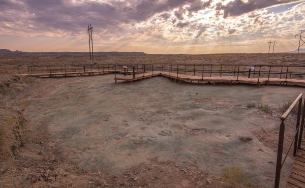 A photo of the the Mill Canyon Dinosaur Tracksite in Moab, Utah. A construction project at the site recently damaged some of the tracks and trace fossils. A photo of the the Mill Canyon Dinosaur Tracksite in Moab, Utah. A construction project at the site recently damaged some of the tracks and trace fossils.