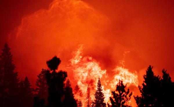 By the time it was contained, the Caldor fire had destroyed more than 1,000 structures, damaged 81, injured at least five people and forced some 50,000 people to evacuate from the Lake Tahoe area. By the time it was contained, the Caldor fire had destroyed more than 1,000 structures, damaged 81, injured at least five people and forced some 50,000 people to evacuate from the Lake Tahoe area.