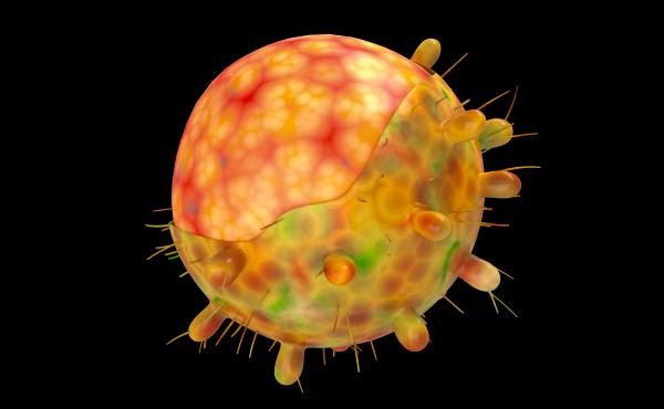 A computer-generated image of the omicron variant of the coronavirus. A computer-generated image of the omicron variant of the coronavirus.