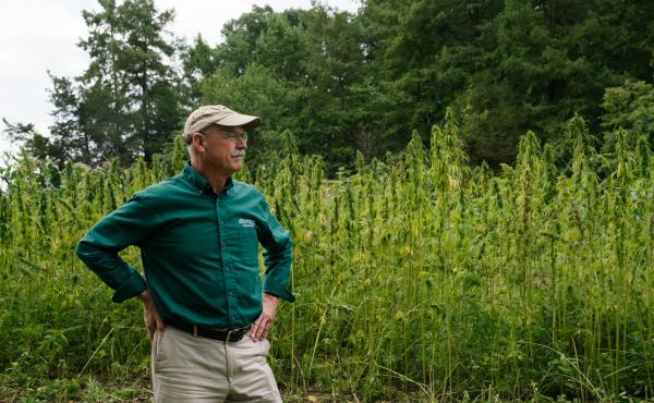 Dean Norton, the director of horticulture at Mount Vernon, stands in front of the plot of hemp grown this year. Dean Norton, the director of horticulture at Mount Vernon, stands in front of the plot of hemp grown this year.