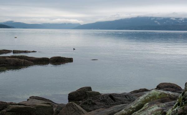 View of the waterfront from Vancouver Island, British Columbia, Canada on January 20, 2020. The number of American pleasure craft arriving from Washington state has alarmed Canadians living just across the border. View of the waterfront from Vancouver Island, British Columbia, Canada on January 20, 2020. The number of American pleasure craft arriving from Washington state has alarmed Canadians living just across the border.