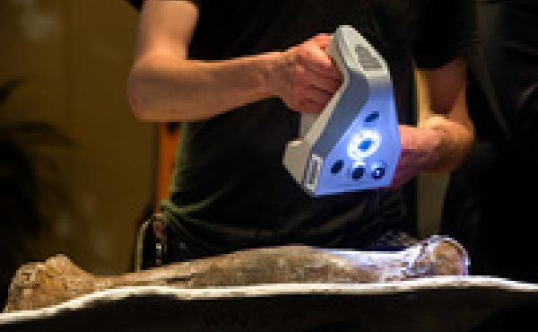 The Smithsonian's Jon Blundell scans the fossilized foot bone — the metatarsal — of the Wankel T. rex to help create a digital 3-D image of the long-dead dinosaur. The Smithsonian's Jon Blundell scans the fossilized foot bone — the metatarsal — of the Wankel T. rex to help create a digital 3-D image of the long-dead dinosaur.