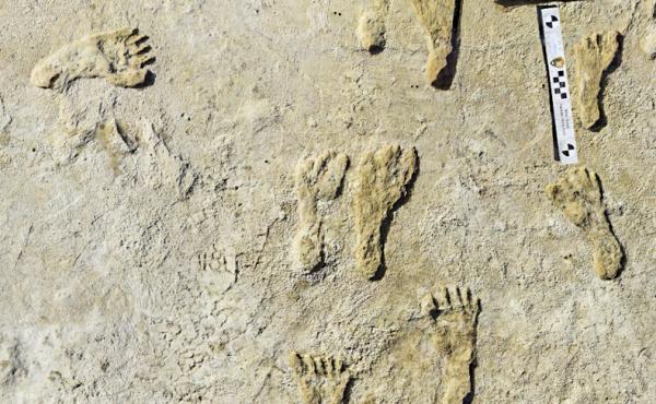 Fossilized human footprints shown at the White Sands National Park in New Mexico. According to a report published in the journal Science, the impressions indicate that early humans were walking across North America around 23,000 years ago. Fossilized human footprints shown at the White Sands National Park in New Mexico. According to a report published in the journal Science, the impressions indicate that early humans were walking across North America around 23,000 years ago.
