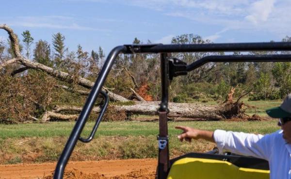 Pine Knoll Plantation farm manager Mitch Bulger near one of the thousands of pecan trees blown down by Hurricane Michael. Pine Knoll Plantation farm manager Mitch Bulger near one of the thousands of pecan trees blown down by Hurricane Michael.