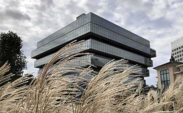 Purdue Pharma's headquarters in Stamford, Conn., seen earlier this month. The OxyContin manufacturer has filed for Chapter 11 bankruptcy, but some want the company's owners to face criminal charges over the opioid crisis. Purdue Pharma's headquarters in Stamford, Conn., seen earlier this month. The OxyContin manufacturer has filed for Chapter 11 bankruptcy, but some want the company's owners to face criminal charges over the opioid crisis.