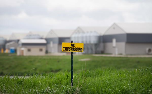 "No trespassing" signs are posted on the edge of a field at a farm operated by Daybreak Foods near Eagle Grove, Iowa, which has been designated "bio security area," on May 17. "No trespassing" signs are posted on the edge of a field at a farm operated by Daybreak Foods near Eagle Grove, Iowa, which has been designated "bio security area," on May 17.