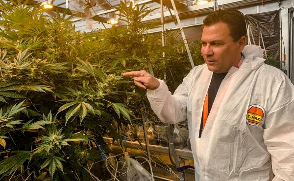 Tom DiGiovanni's job as chief financial officer for Canndescent involves managing bags of cash by the millions which must be counted, then hauled in armored vehicles. Tom DiGiovanni's job as chief financial officer for Canndescent involves managing bags of cash by the millions which must be counted, then hauled in armored vehicles.