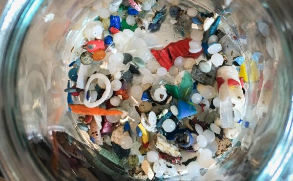 Microplastics found along Lake Ontario by Rochman's team Microplastics found along Lake Ontario by Rochman's team