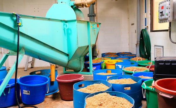The wastewater treatment facility in Havre, Mont., collects the spent barley from a local brewery to feed the facility's bacteria at the right time in just the right dosage. The wastewater treatment facility in Havre, Mont., collects the spent barley from a local brewery to feed the facility's bacteria at the right time in just the right dosage.
