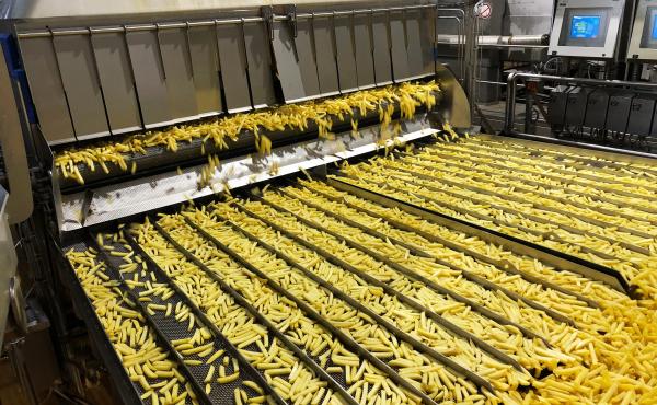 Potatoes are processed into fries at the Mydibel processing plant in Mouscron, Belgium. Potatoes are processed into fries at the Mydibel processing plant in Mouscron, Belgium.