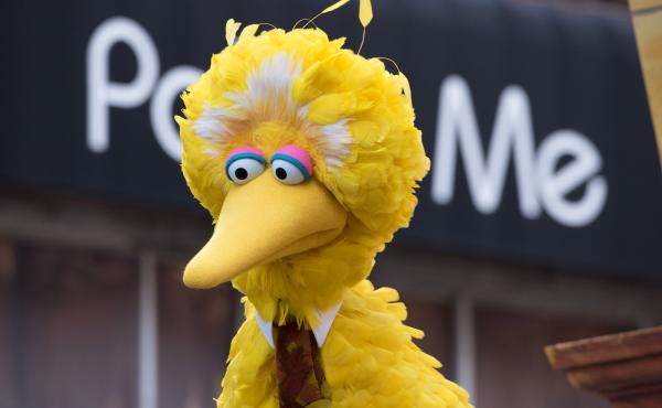 Big Bird of Sesame Street attends the 2018 Macy's Thanksgiving Day Parade in New York City. His announcement about getting the COVID-19 vaccine elicited a mixed response. Big Bird of Sesame Street attends the 2018 Macy's Thanksgiving Day Parade in New York City. His announcement about getting the COVID-19 vaccine elicited a mixed response.