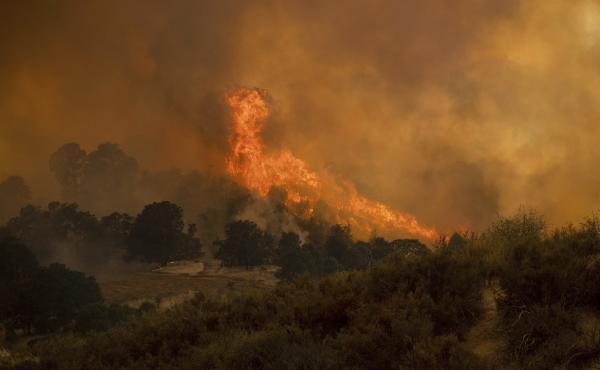 Northern California's River Fire tore through a canyon near the town of Lakeport early last week, filling orange-tinged skies with smoke for miles around. Northern California's River Fire tore through a canyon near the town of Lakeport early last week, filling orange-tinged skies with smoke for miles around.
