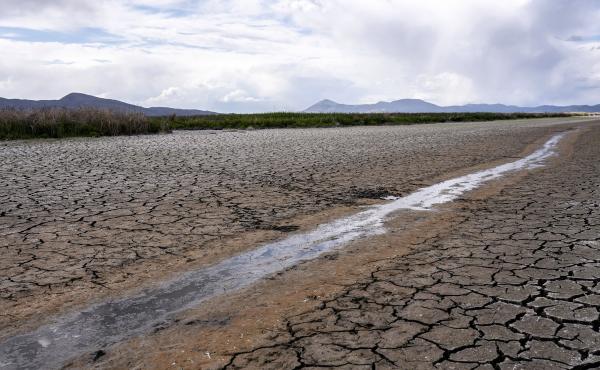 A small stream runs through the dried, cracked earth of a former wetland near Tulelake, Calif., on June 9, 2021. Southern California's gigantic water supplier has taken the unprecedented step of requiring some 6 million people to cut their outdoor waterin A small stream runs through the dried, cracked earth of a former wetland near Tulelake, Calif., on June 9, 2021. Southern California's gigantic water supplier has taken the unprecedented step of requiring some 6 million people to cut their outdoor waterin