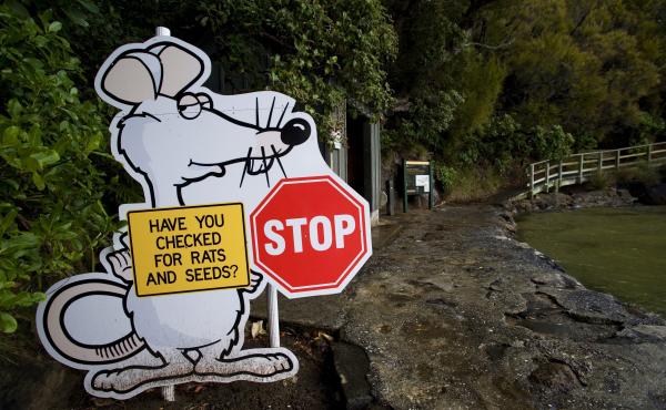 At Ulva Island Bird Sanctuary on Stewart Island, New Zealand, a sign warned visitors in 2008 to check their bags. The fight against invasive predators continues. At Ulva Island Bird Sanctuary on Stewart Island, New Zealand, a sign warned visitors in 2008 to check their bags. The fight against invasive predators continues.