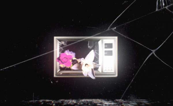 A still from Michael Beharie and Teddy Rankin Parker's "Paper Tiger" video. A still from Michael Beharie and Teddy Rankin Parker's "Paper Tiger" video.
