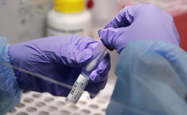 Massachusetts parents sent their child to Attleboro High School despite knowing the teenager was infected with the coronavirus. Above, a coronavirus test is performed at Boston University in July. Massachusetts parents sent their child to Attleboro High School despite knowing the teenager was infected with the coronavirus. Above, a coronavirus test is performed at Boston University in July.