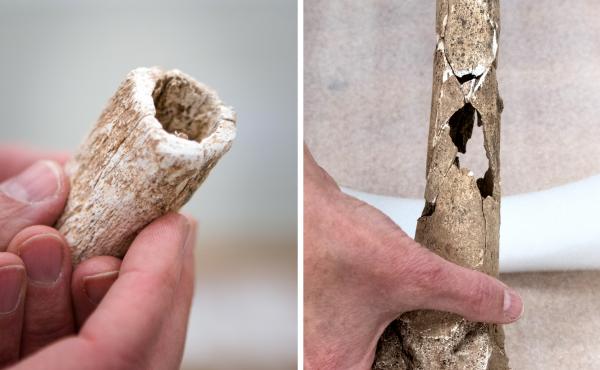 The limbs had been evenly cut (left), and researchers were able to identify bullet holes (right). The limbs had been evenly cut (left), and researchers were able to identify bullet holes (right).
