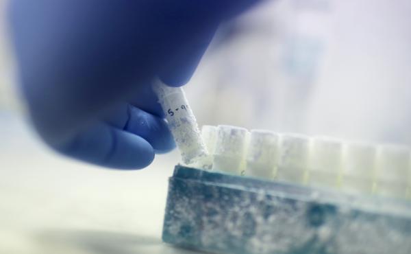 The now-divorced couple is trying to find out what happened to Drew Wasilewski's once-frozen sperm. "They took it and it was defrosted. If they didn't use it for this procedure they must have used it in some other procedure," attorney David Mazie told NPR The now-divorced couple is trying to find out what happened to Drew Wasilewski's once-frozen sperm. "They took it and it was defrosted. If they didn't use it for this procedure they must have used it in some other procedure," attorney David Mazie told NPR