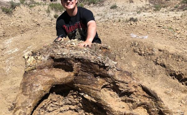 Harrison Duran, 23, poses with Alice, the 65-million-year-old partial skull of a triceratops. The dinosaur-obsessed student helped find Alice on an expedition with the Fossil Excavators. Harrison Duran, 23, poses with Alice, the 65-million-year-old partial skull of a triceratops. The dinosaur-obsessed student helped find Alice on an expedition with the Fossil Excavators.