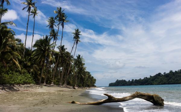 A deserted beach in Gorgona National Park, an island 21 miles off Colombia's Pacific coast. A deserted beach in Gorgona National Park, an island 21 miles off Colombia's Pacific coast.