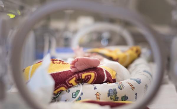 A large study published in late October found that weekly injections of Makena during the latter months of pregnancy "did not decrease recurrent preterm births." A large study published in late October found that weekly injections of Makena during the latter months of pregnancy "did not decrease recurrent preterm births."