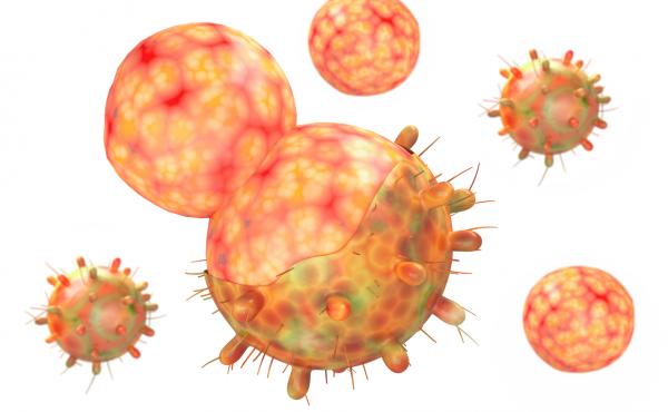A 3D-generated image of the coronavirus variant of concern known as omicron. The little bumps are spike proteins (see definition below). A 3D-generated image of the coronavirus variant of concern known as omicron. The little bumps are spike proteins (see definition below).