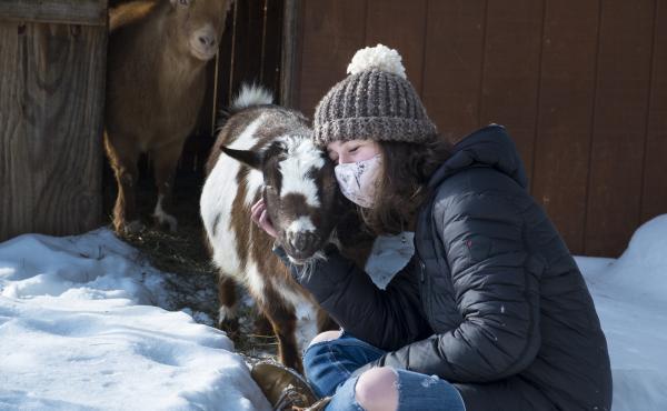A reader asks: I want to have a private cuddle session with some goats but am concerned that the goats may have cuddled with other people. What's the COVID risk? Note: The goat and human in the photo above are part of the same pandemic pod. A reader asks: I want to have a private cuddle session with some goats but am concerned that the goats may have cuddled with other people. What's the COVID risk? Note: The goat and human in the photo above are part of the same pandemic pod.