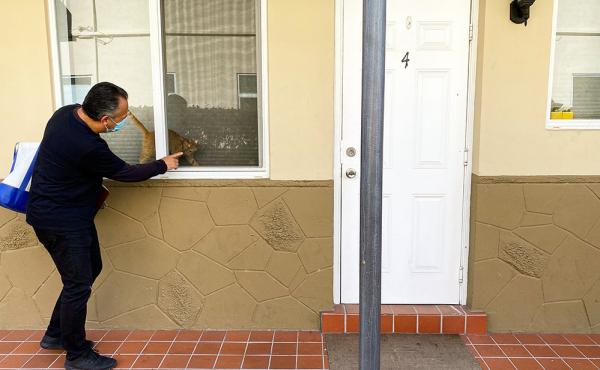 Alejandro Díaz greets a cat on Oct. 23 at an apartment complex in the Little Havana neighborhood of Miami. He's an outreach worker with Healthy Little Havana, going door to door to talk to people about getting tested for COVID-19. Alejandro Díaz greets a cat on Oct. 23 at an apartment complex in the Little Havana neighborhood of Miami. He's an outreach worker with Healthy Little Havana, going door to door to talk to people about getting tested for COVID-19.