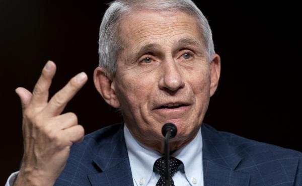 Dr. Anthony Fauci testifies before a Senate Health, Education, Labor, and Pensions Committee hearing on Jan. 11. Dr. Anthony Fauci testifies before a Senate Health, Education, Labor, and Pensions Committee hearing on Jan. 11.