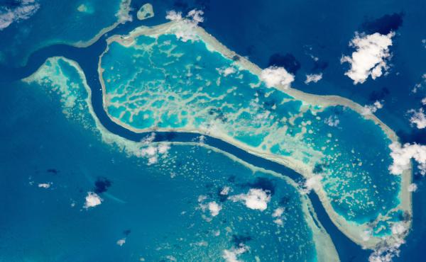 A portion of Australia's Great Barrier Reef photographed from the International Space Station. The Flinders Reef area of the Great Barrier Reef is one of 11 sites around the world where scientists are looking for decisive geological evidence of a new epoc A portion of Australia's Great Barrier Reef photographed from the International Space Station. The Flinders Reef area of the Great Barrier Reef is one of 11 sites around the world where scientists are looking for decisive geological evidence of a new epoc