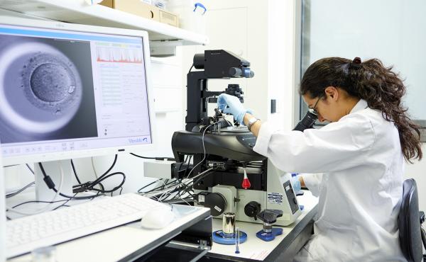 Kathy Niakan, a developmental biologist at the Francis Crick Institute in London, used the CRISPR gene editing technique to find out how a gene affects the growth of human embryos. Kathy Niakan, a developmental biologist at the Francis Crick Institute in London, used the CRISPR gene editing technique to find out how a gene affects the growth of human embryos.