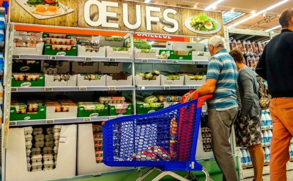 People stand in front of eggs displayed at a supermarket in Lille, France, on Friday as a scandal over contaminated eggs spreads across Europe. People stand in front of eggs displayed at a supermarket in Lille, France, on Friday as a scandal over contaminated eggs spreads across Europe.