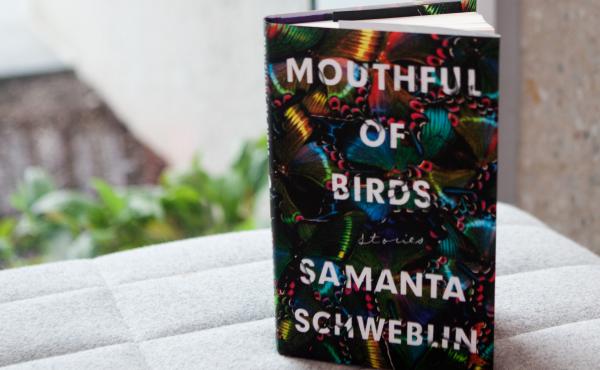Mouthful of Birds, by Samanta Schweblin Mouthful of Birds, by Samanta Schweblin